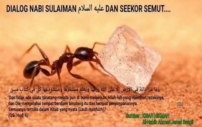 Mu'jizat Nabi Sulaiman, Dalam Dunia Modern