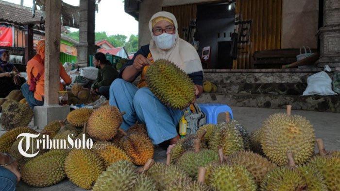 Menikmati Durian Lereng Merapi yang Tersohor di Kemalang: Harga Jumbo Rp200 Ribu