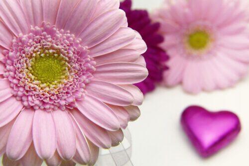 5 Hal Romantis Ini Bikin Hari Valentine Kamu Tak Terlupakan