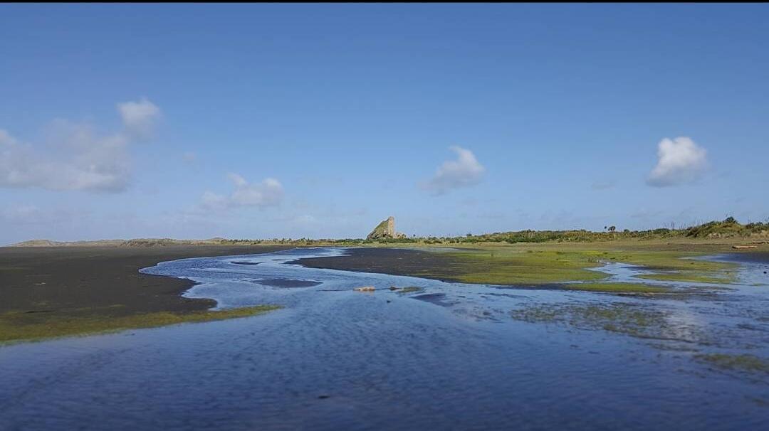 Wisata Pulau Utara (North Island) SELANDIA BARU