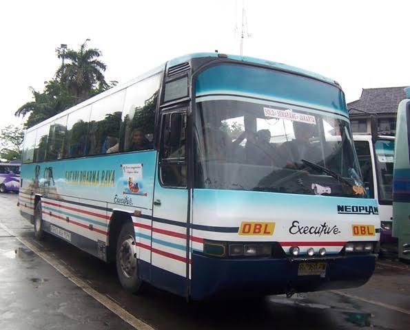 Jetbus Transit, Bus Monokok Baru Adiputro!