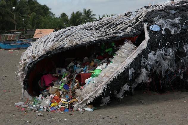 Buaya Berkalung Ban di Palu Telah Ditangkap, Jangan Ulangi Buang Sampah Sembarangan