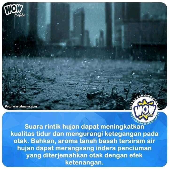 Pink Noise sari Rinai Hujan Bisa Bantu Tidur Nyenyak, di Kamu Ngefek Nggak Gansist?