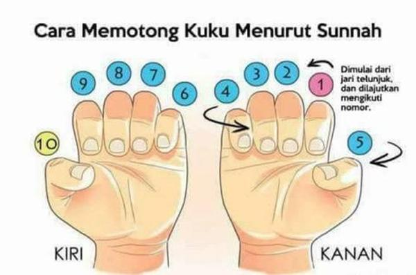 Urutan Memotong Kuku Sesuai Ajaran Para Ulama