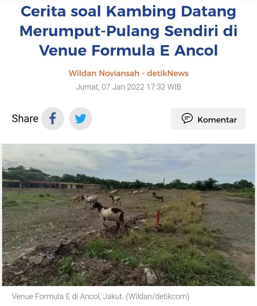 Memang Beda! Viral Kerbau Merumput Dekat Sirkuit Mandalika, Publik Takjub..