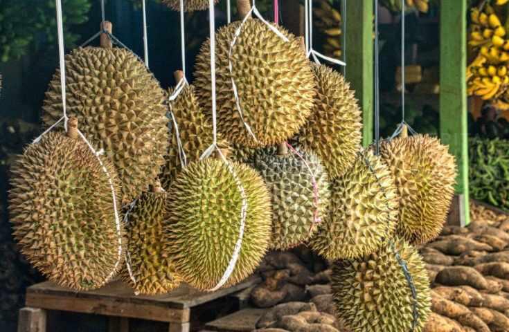 Sempat Viral Durian Palsu, Oknum Penjual di Pasar Cheng Ho Diberikan Peringatan