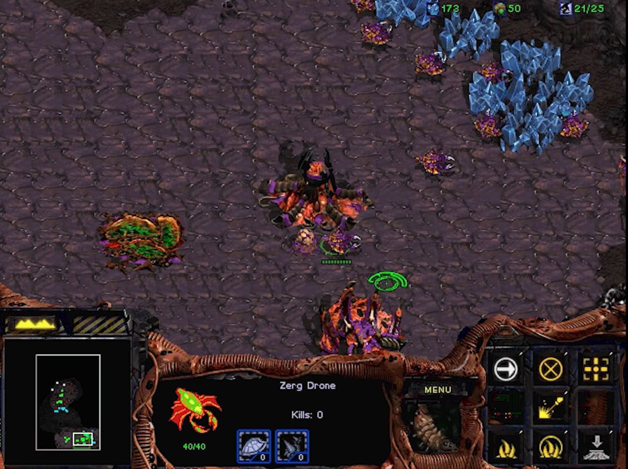 Game Jadul RTS Starcraft Tahun 1998, Konflik antar 3 Ras