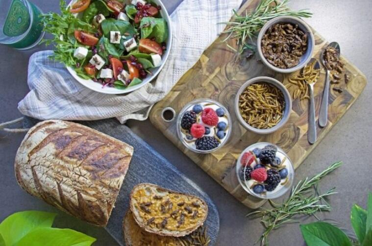 Protein Serangga Ternyata Lebih Banyak dari Daging Sapi