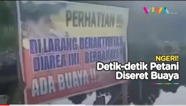 Melanggar Plang Peringatan, Seorang Petani di Kalimantan Utara Hilang Diseret Buaya
