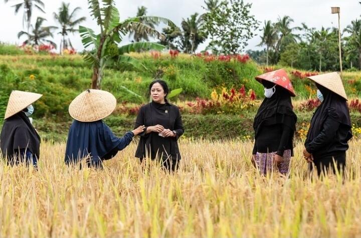 Puan Disebut Kandidat Capres Berpotensial di Pilpres 2024