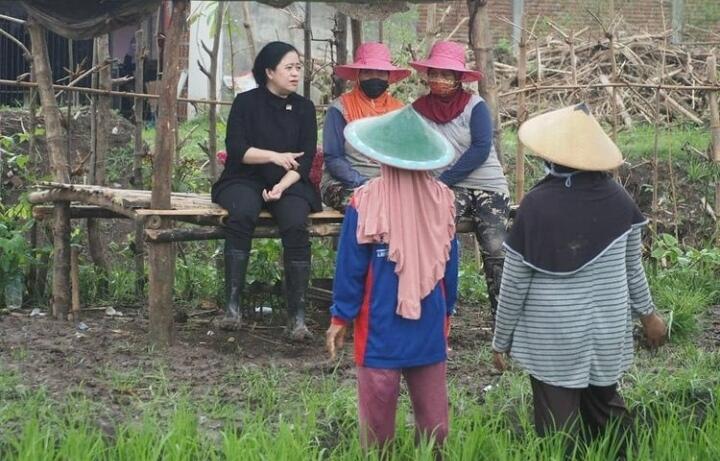 Hubungannya dengan Puan Memanas, Kasihan Ganjar Pranowo, Kini Dijauhi Partai Sendiri
