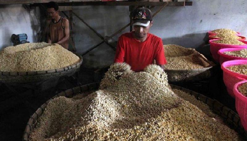 Pemerintah Kurang Serius Wujudkan Swasembada Kedelai