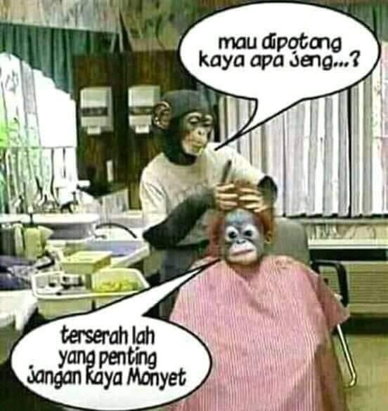 Random My Galeri