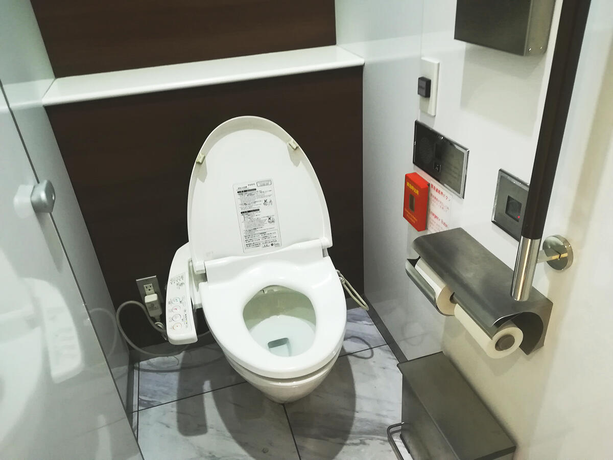 Унитаз Джика для инвалидов. Штраф туалет отель 2022. Ikebukuro Toilet.