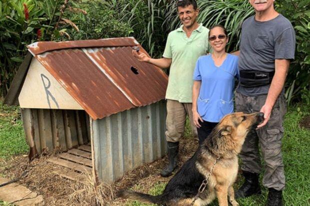 Dihantam Pecahan Batu Meteorit, Kandang Anjing Ini Harganya Jadi Ratusan Miliar