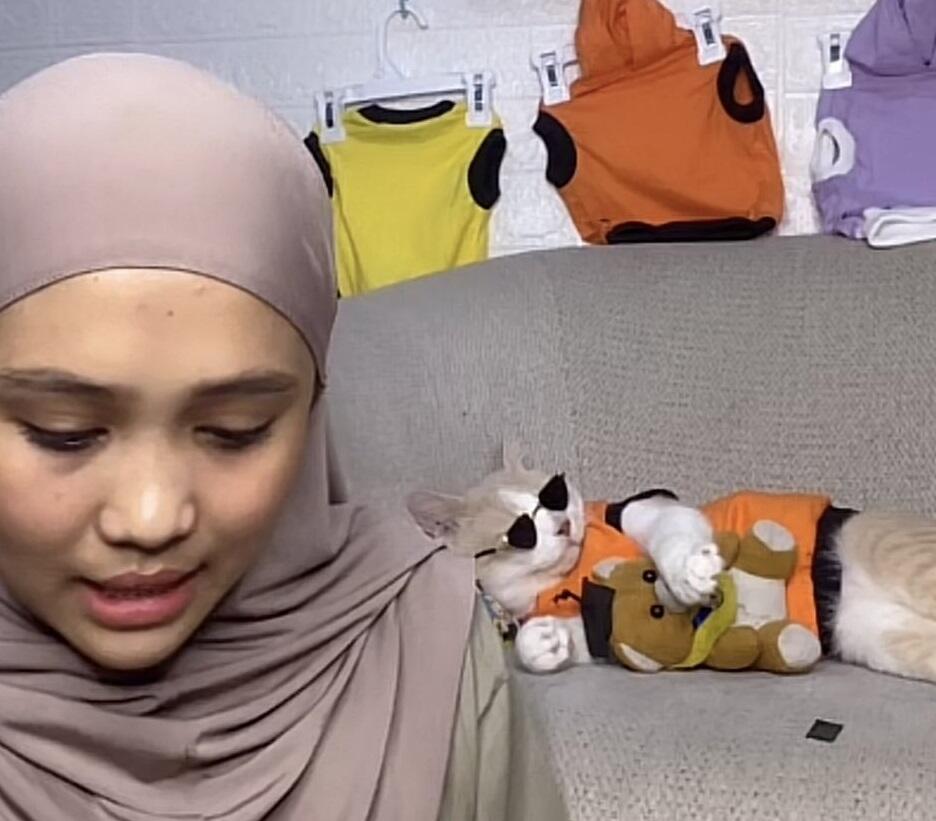 PORORO KUCING TIKTOK PALING 'SANTUY' YANG VIRAL KARENA TINGKAHNYA BIKIN GEMES NETIZEN