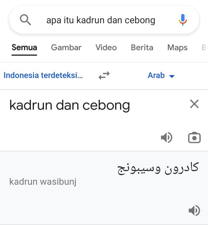 Pilih Jadi Kadrun atau Jadi Cebong?