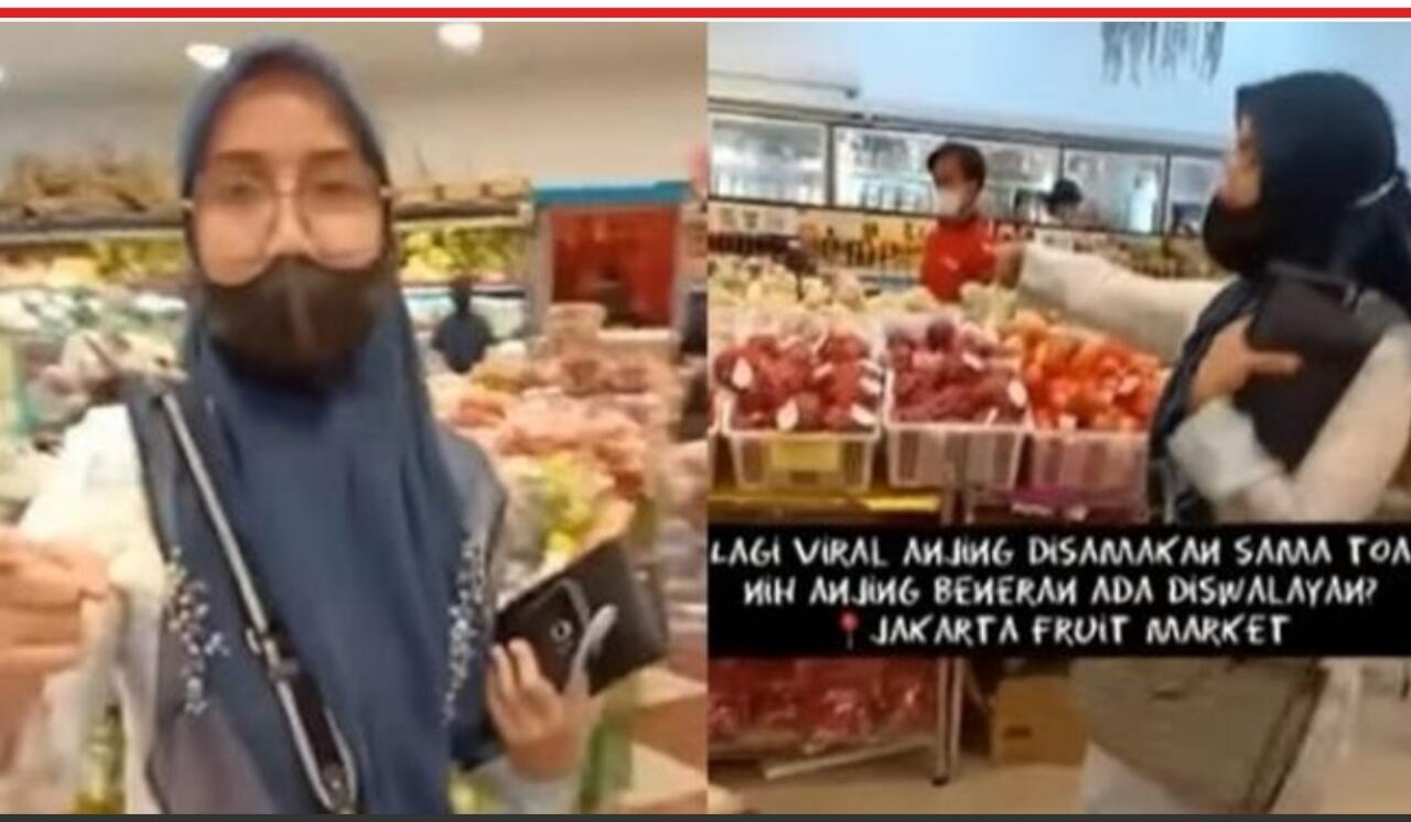 Viral Anjing Masuk Supermarket Di Jakarta Utara!