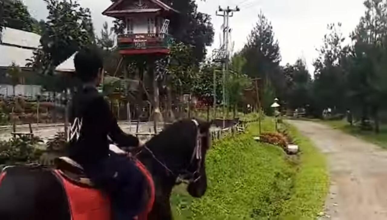 Camping Di Sari Ater, Cara Praktis Menikmati Alam Ciater