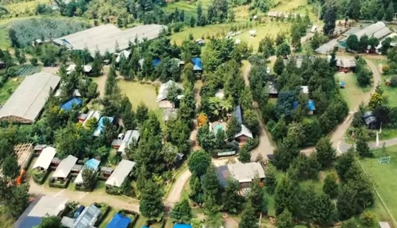 Camping Di Sari Ater, Cara Praktis Menikmati Alam Ciater