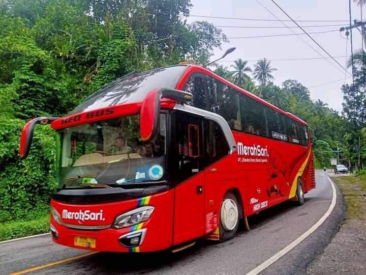 Info Bus | PO Merah Sari Bukittinggi-Jabotabek, Bus dengan Tiket Termurah di Jalurnya