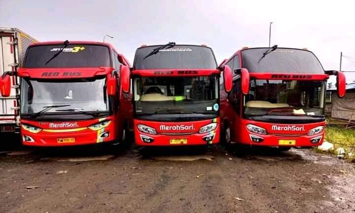 Info Bus | PO Merah Sari Bukittinggi-Jabotabek, Bus dengan Tiket Termurah di Jalurnya