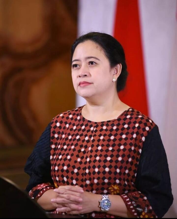 Puan: Tindak Tegas Spekulan yang Mempermainkan Harga Minyak Goreng