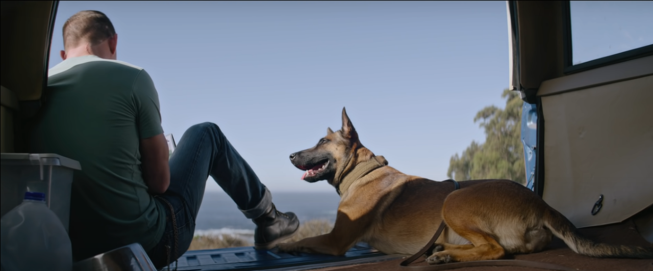 Film DOG: Kisah Persahabatan Mantan Tentara AD dan Anjing Militer