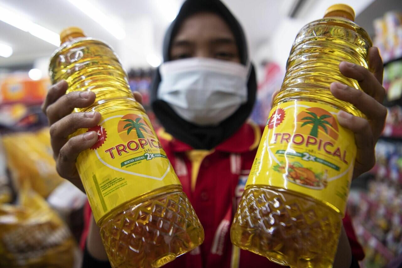 Kemendag Akui Jual 415 Juta Liter Minyak Goreng Murah ke Luar Negeri, Berlian Idris