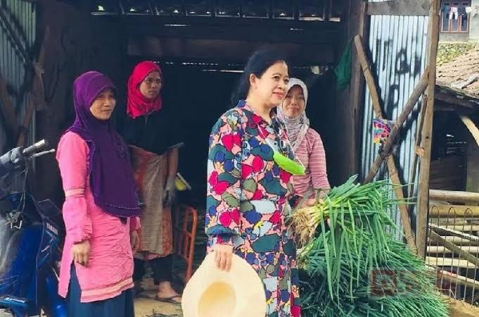 Puan: Saya Cek ke Pasar, Pedagang Mengeluh Sulit Minyak, tapi Pabriknya Normal