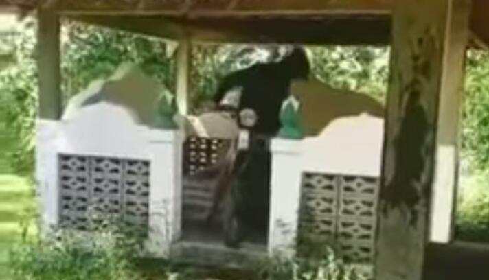 Geger Video Seorang Bocah Geber Motor di Area Makam, Pahami Ini Dia Adab Ziarah Kubur