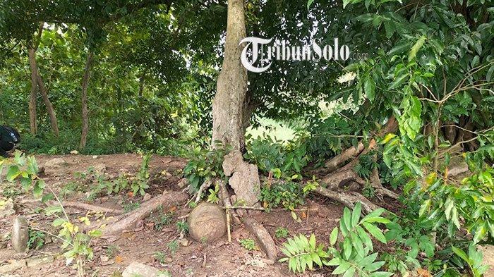 Mitos Dukuh Jenar Sragen: Dilarang Gelar Pertunjukan Wayang, Bisa Undang Petaka