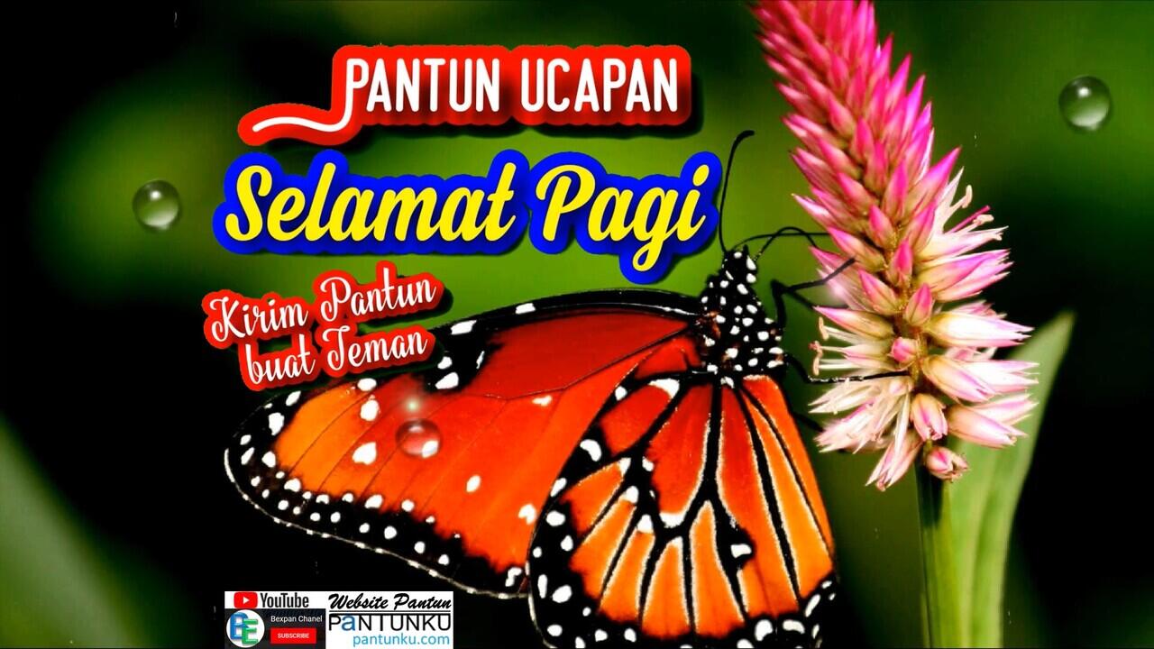 Pantun Ucapan Selamat Pagi Buat Teman