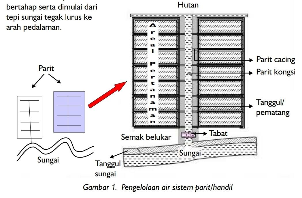 kaskus-image