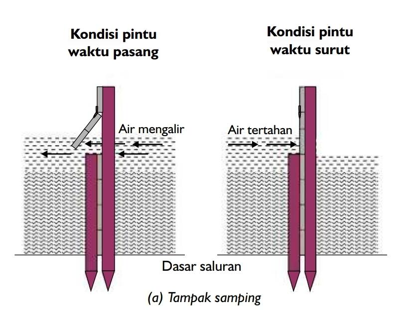 kaskus-image