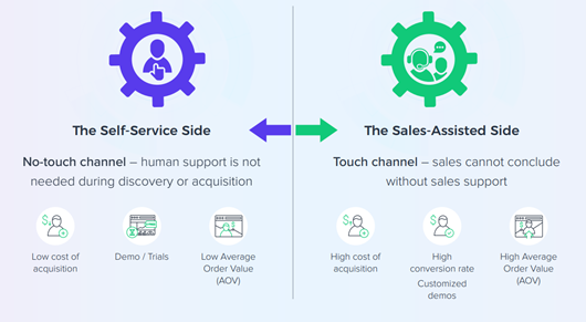 Self Service Vs Sales Supported Saas #SF-2