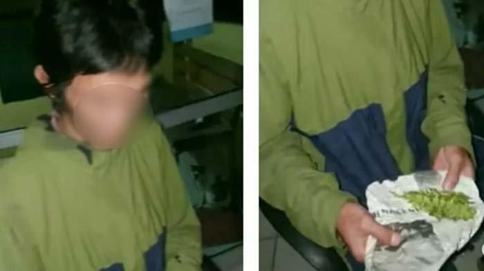 Kocak! Beli Ganja Dapatnya Daun Tanaman Hias, Pria Palembang Lapor Polisi