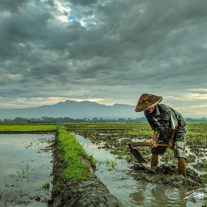 Kurs / Currency : Ajang Para Raksasa Dunia Menertawakan Keadaan Sulit