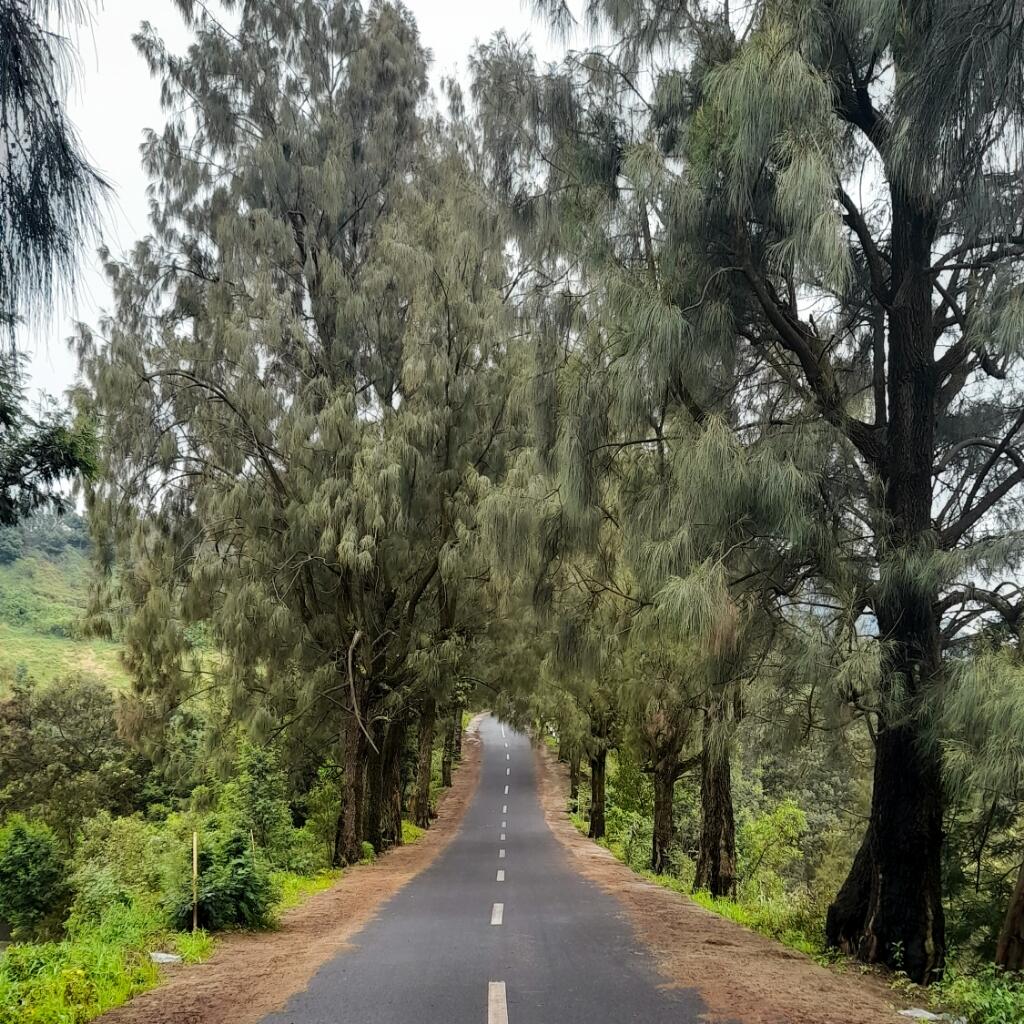 Keliling Bromo Dengan Motor? Siapa Takut #BikinBanggaIndonesia