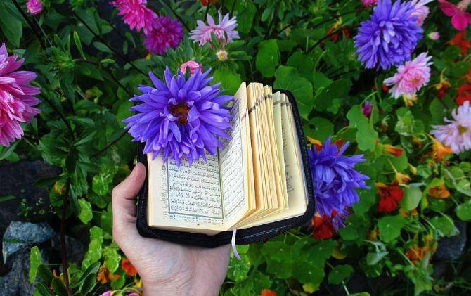 Pokok Kandungan, Keutamaan dan Manfaat Qur'an surah An-naml