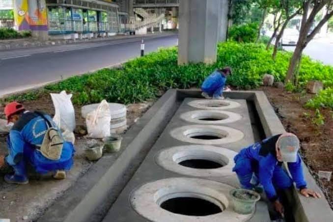 Miris! Banyak Orang Tidak Tahu Membaca Peta Dunia, Termasuk Pelajar Usia Sekolah.