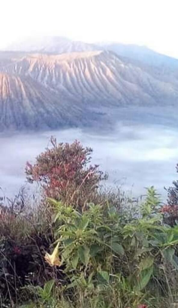 Touring Bromo, Lautan Pasir Berbisik Bagai Jalanan Neraka #BikinBanggaIndonesia