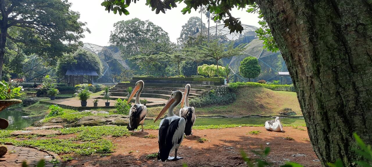 Tips Jalan-jalan dan Ngabuburit Ke TMII Saat Proses Revitalisasi