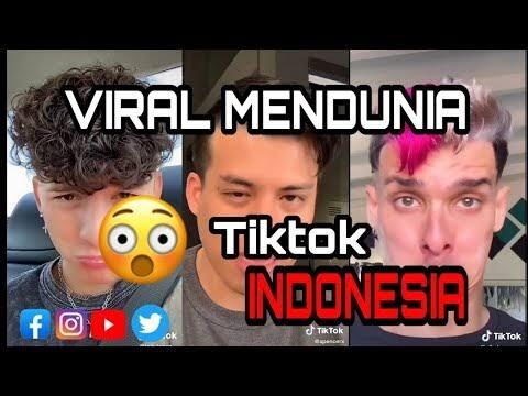 Lagu TikTok Indonesia Mendunia! Kok Bisa?