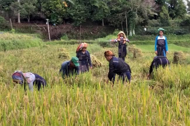 Filosofi &quot;Anakkon Hi Do Hamoraon Di Au&quot; Yang Kerap Terdengar di Suku Batak Toba