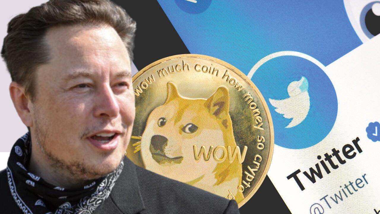 Elon Musk Berhasil Akusisi Twitter Imbasnya Crypto Dogecoin Naik Gila-gilaan