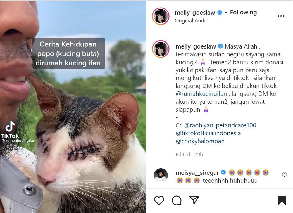 Anti Mainstream, Pencipta Lagu Ini Ajak Berbagi untuk Kucing Buta dan Terlantar 