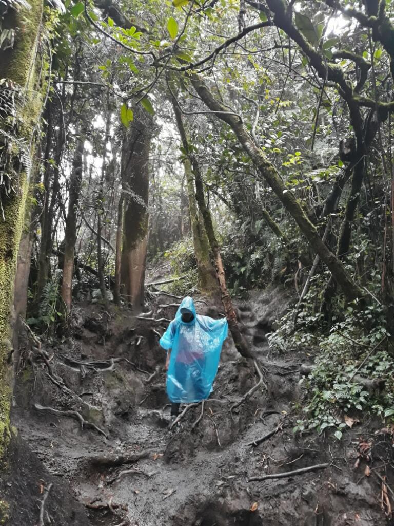 Mau Naik GUNUNG KERINCI? Wajib Baca Ini Dulu!!!