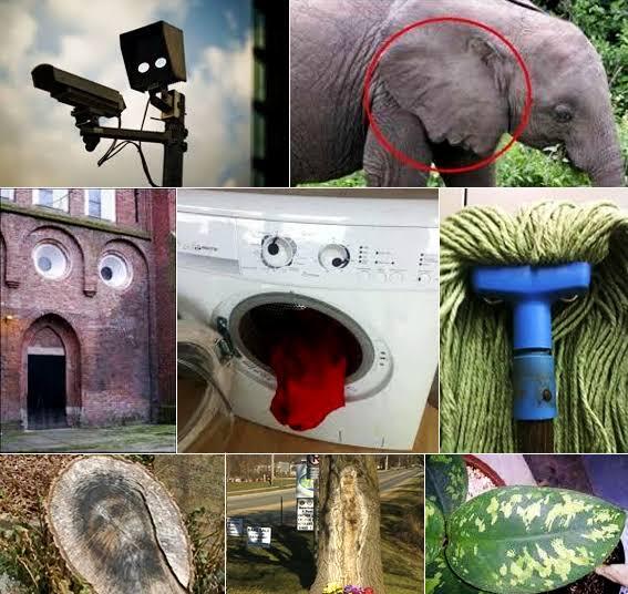 Apakah GanSis Pernah Melihat Objek Menyerupai Sesuatu? Itu Disebut PAREIDOLIA