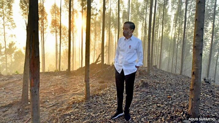 Jokowi Teken Aturan Pendanaan IKN, dari APBN hingga Obligasi